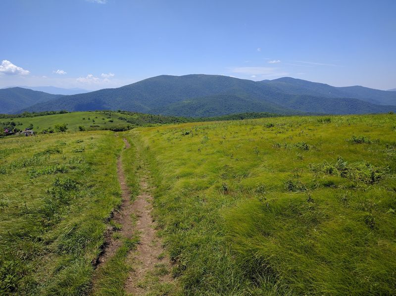Roan Mountain