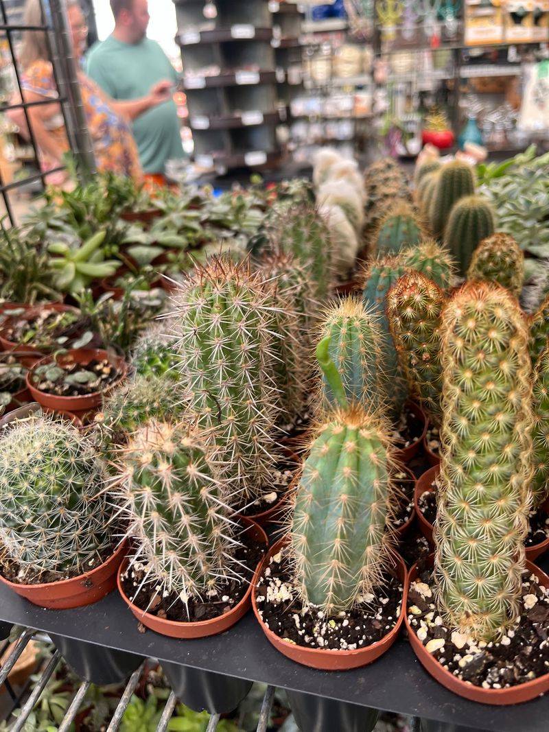 Not Sure What to Grow? The Experts Here Can Help Not Sure What to Grow? The Experts Here Can Help