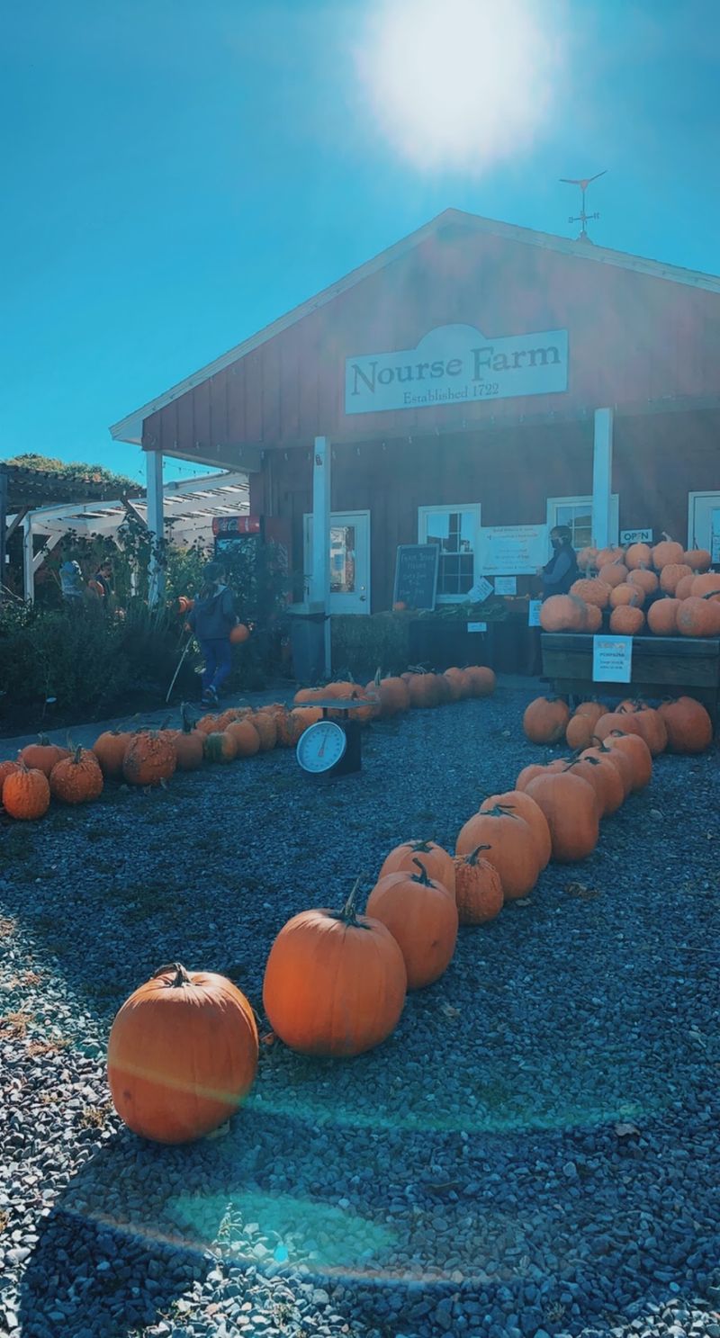 Nourse Farm: Put Westborough on the Harvest Shopping Map