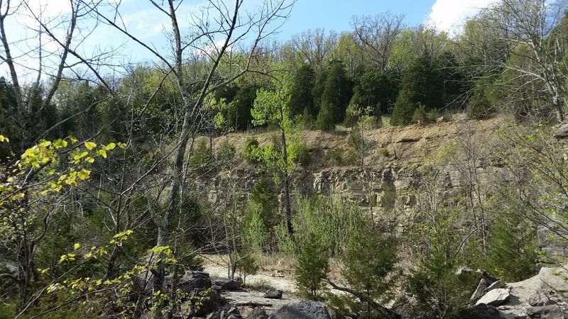 A Flat-Topped Bluff Rising Out of the Shawnee Woods A Flat-Topped Bluff Rising Out of the Shawnee Woods