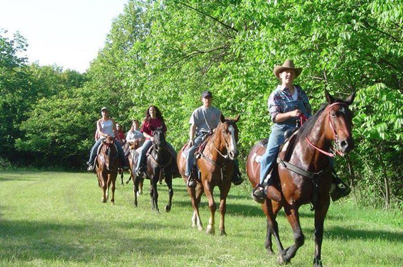 An Illinois Forest Escape With a Saddle-Level View