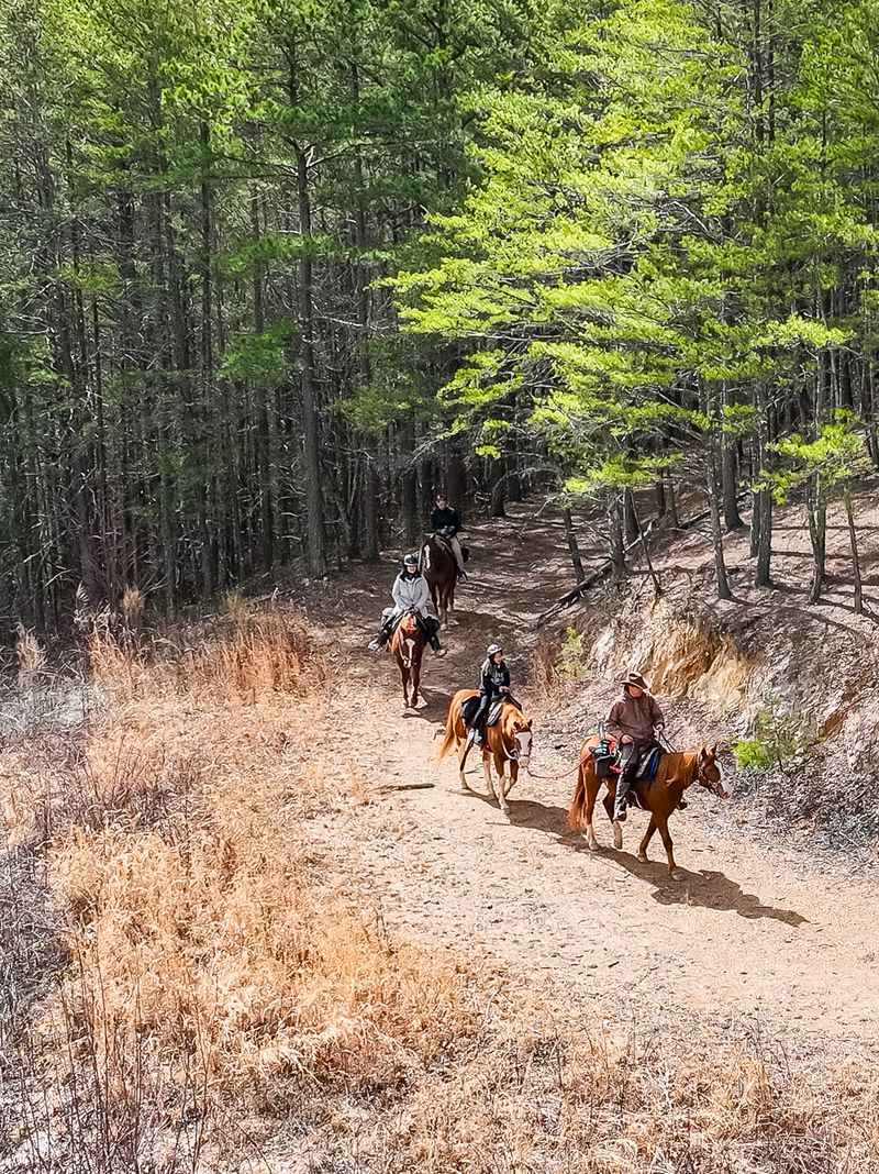Ocoee Horseride in Calhoun Ocoee Horseride in Calhoun