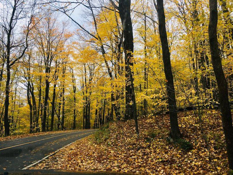 October Mountain: A Woodland Day in Lee October Mountain: A Woodland Day in Lee