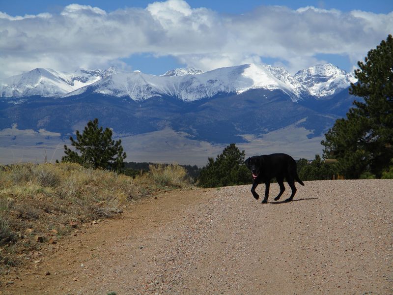 Off the I-70 Treadmill