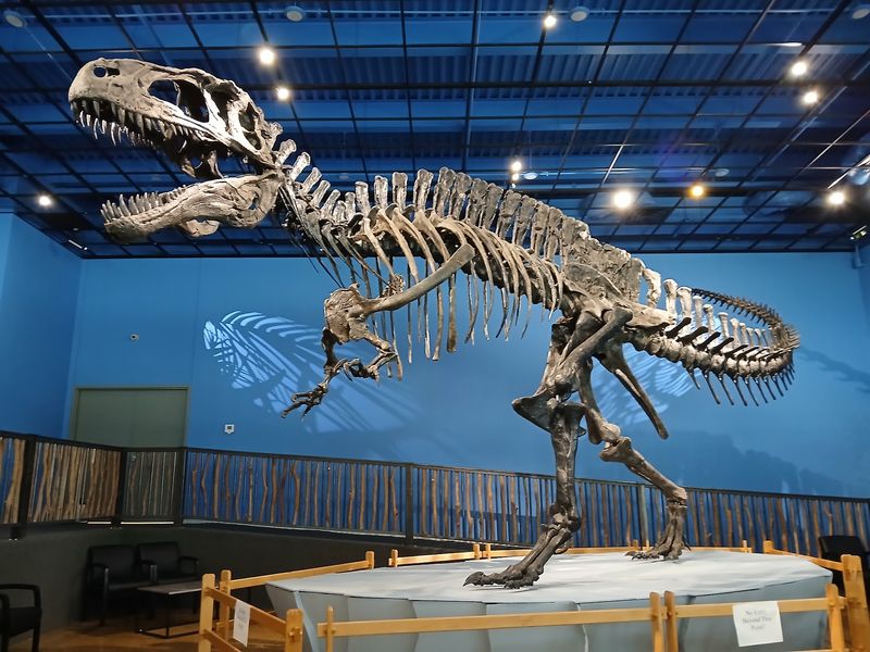 Oklahoma's Very Own Dinosaur Oklahoma's Very Own Dinosaur