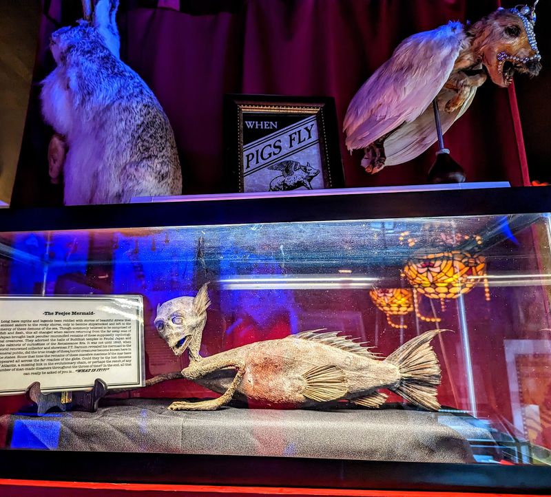 Old School Sideshow Surprises Old School Sideshow Surprises
