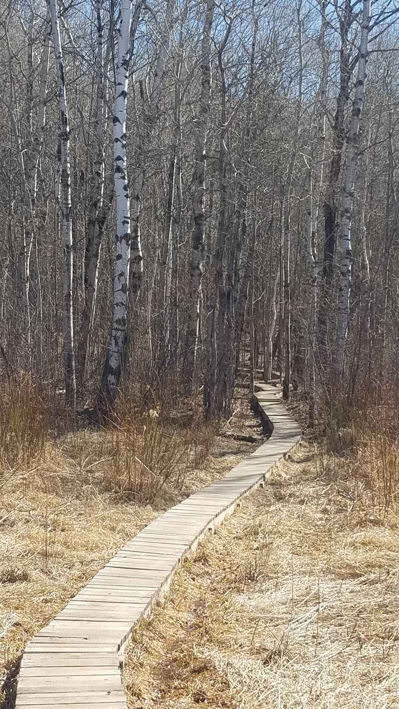 Old Tracks, New Stories Old Tracks, New Stories