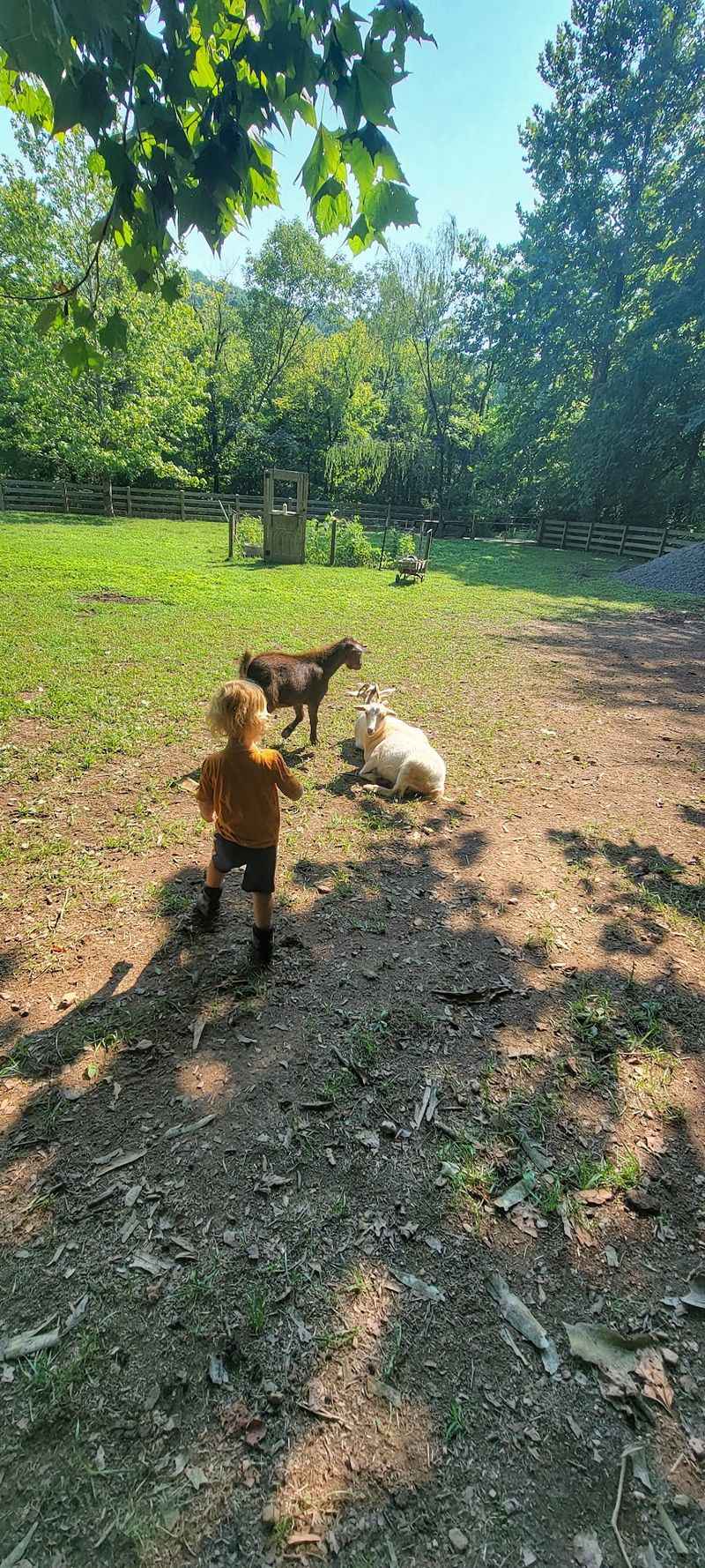 Open Farm Days Are Your Easiest Ticket To Meet The Gang