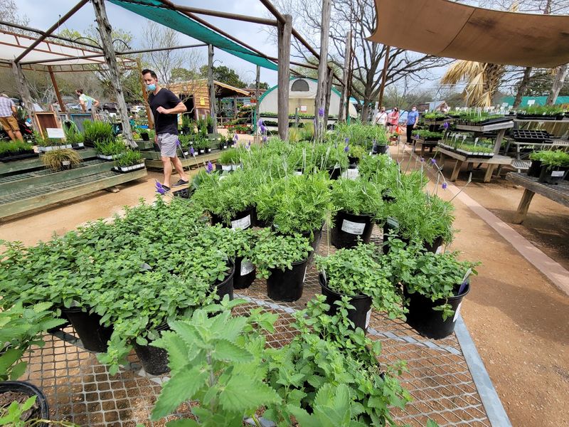 Organic Growing Without the Lecture Organic Growing Without the Lecture