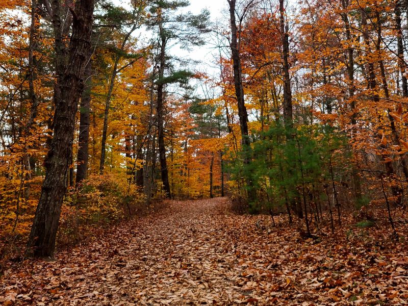 Over 20 Miles Of Trails Means Nobody Gets Bored Over 20 Miles Of Trails Means Nobody Gets Bored