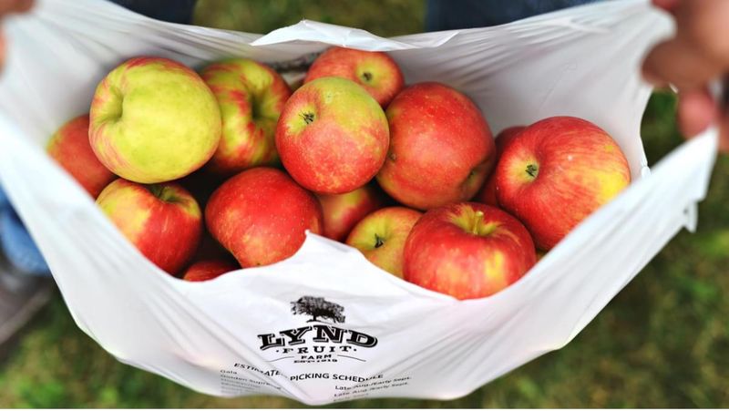 Over 25 Kinds of Apples Over 25 Kinds of Apples