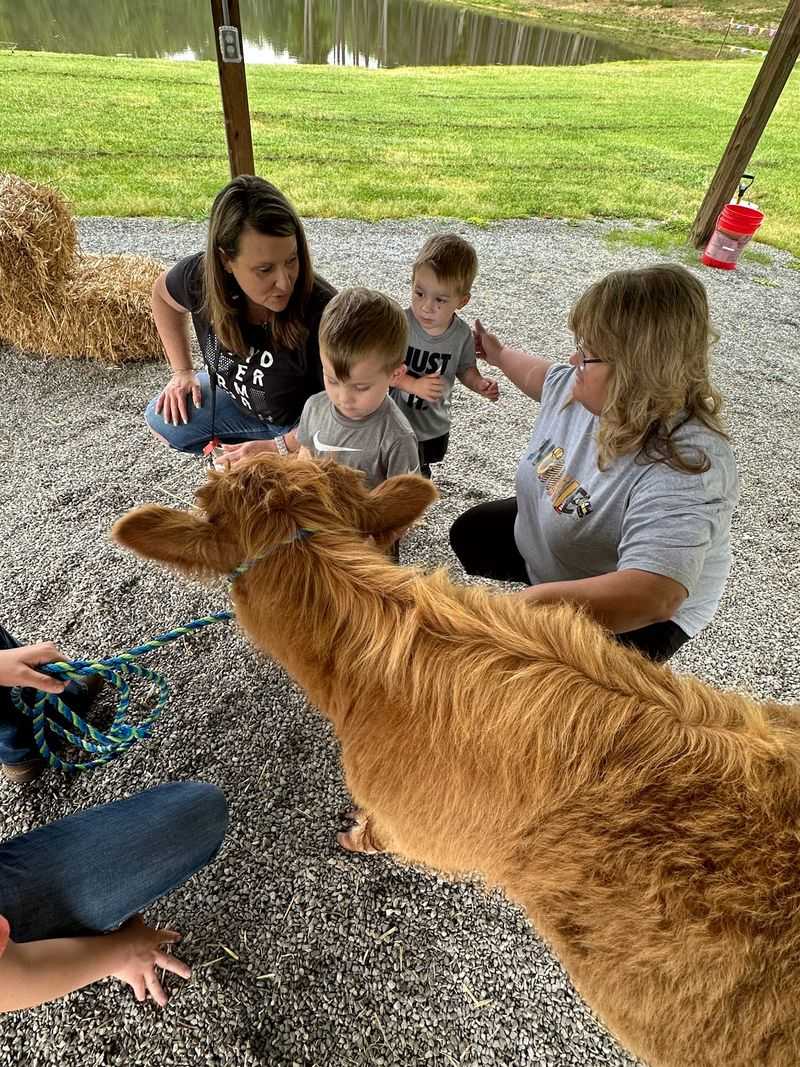Owners Who Ride the Hay Wagon Owners Who Ride the Hay Wagon