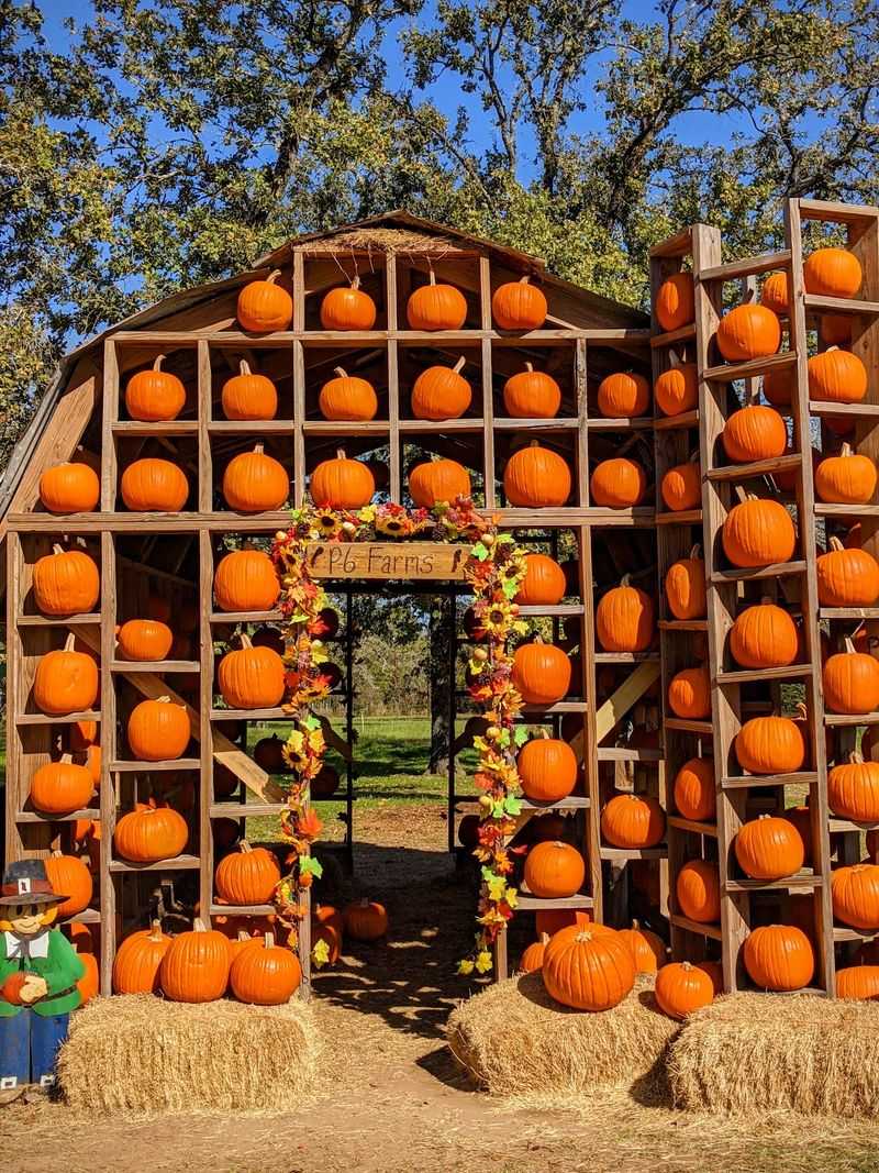 P-6 Farms (Montgomery)