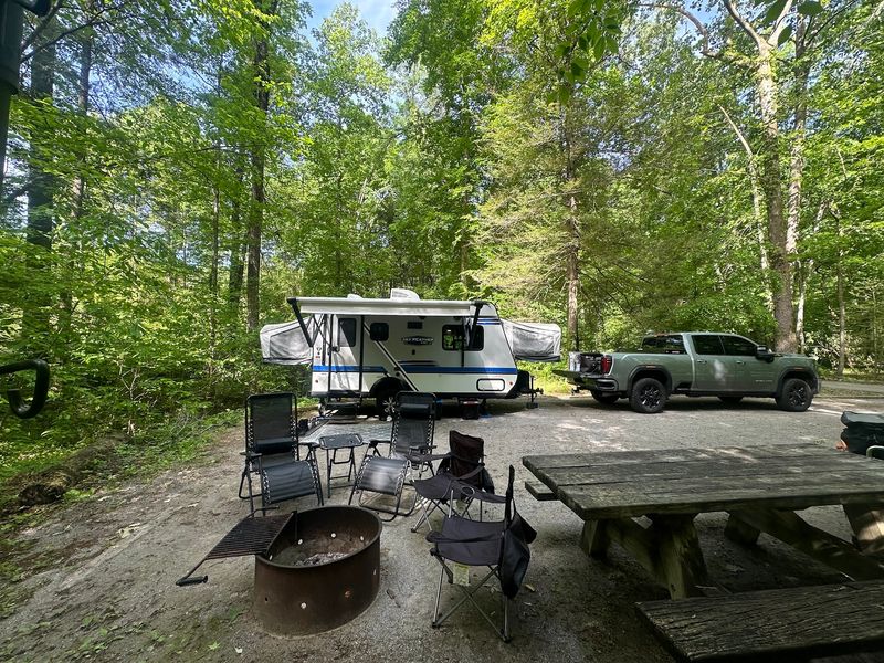 Shaded Campsites Make It Easy To Slow Down Shaded Campsites Make It Easy To Slow Down