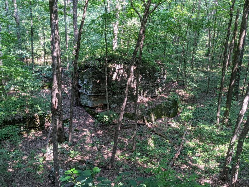 The Southern Illinois Story Behind the Village The Southern Illinois Story Behind the Village