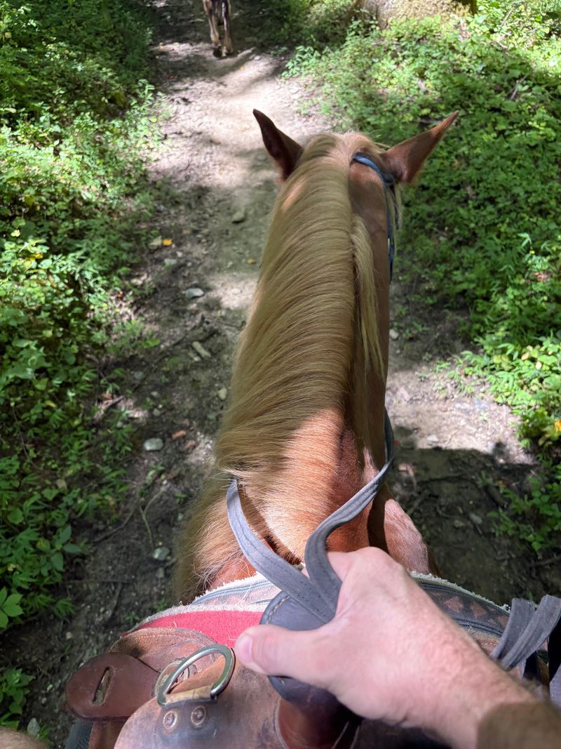 Packing Light for the Trail