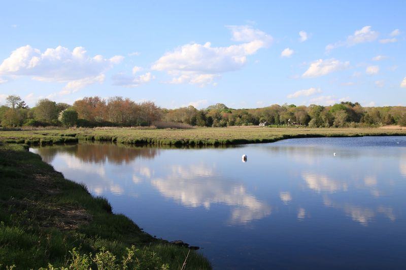 Paddle Through Marshes Where The River Takes Its Time