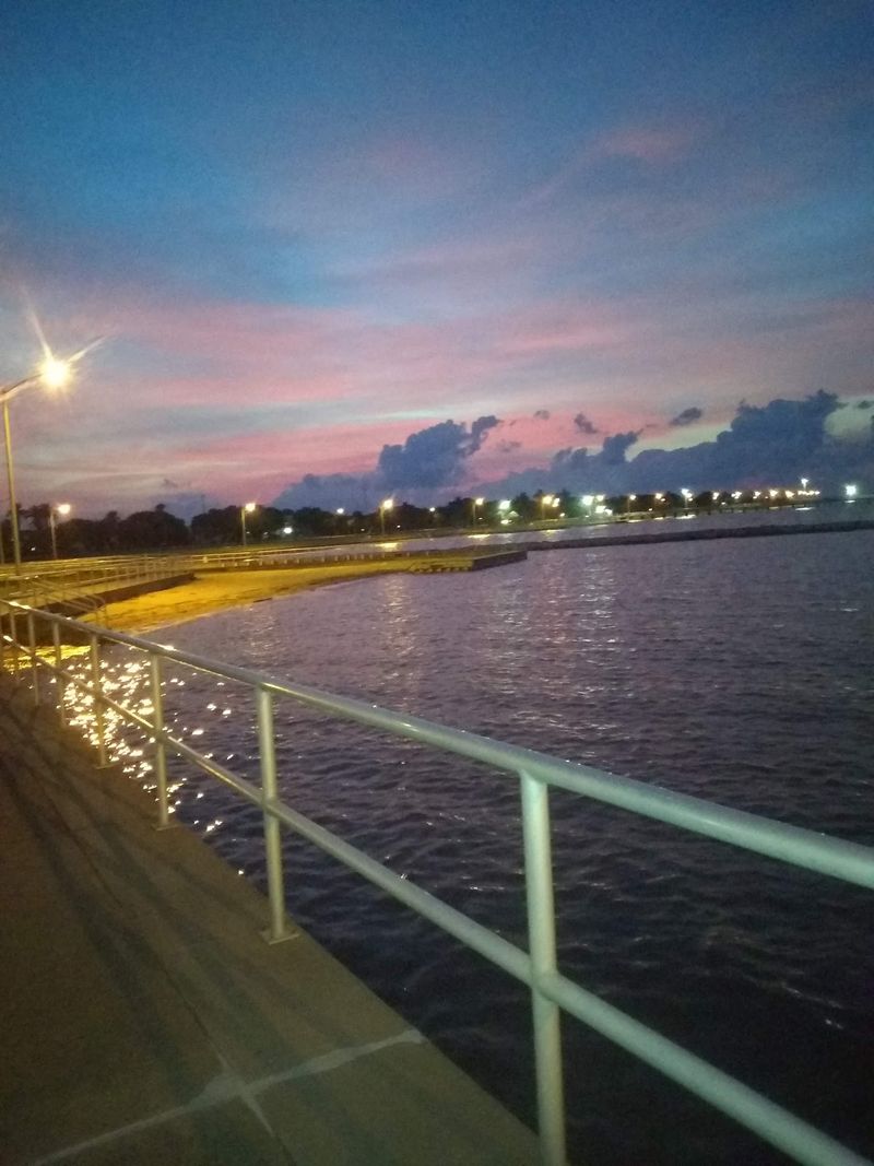 Palacios