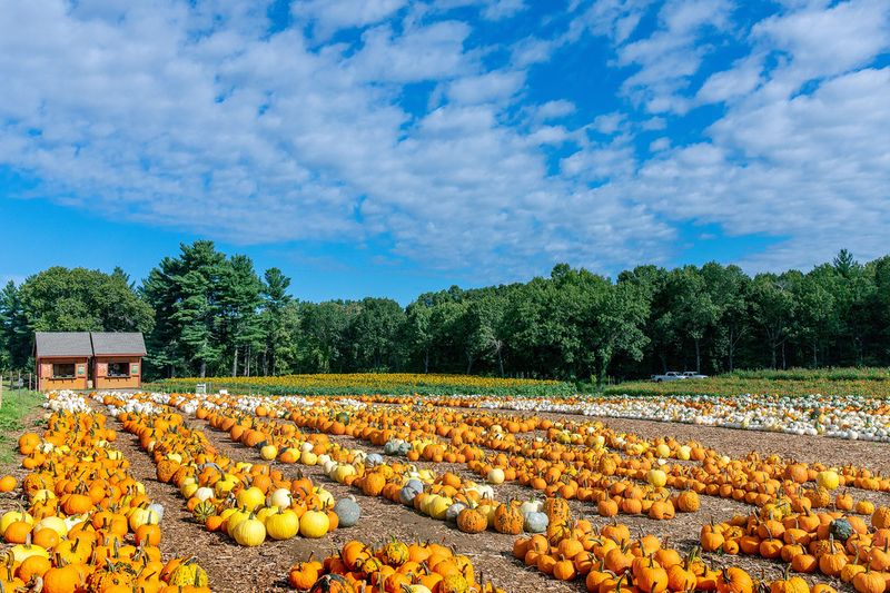 Parlee Farms: Finish With a Tyngsborough Harvest Outing