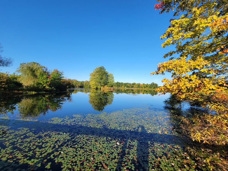 Pause Beside Ponds and Corning Lake Pause Beside Ponds and Corning Lake