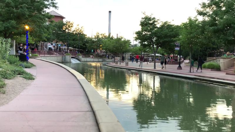 Paws on the Promenade