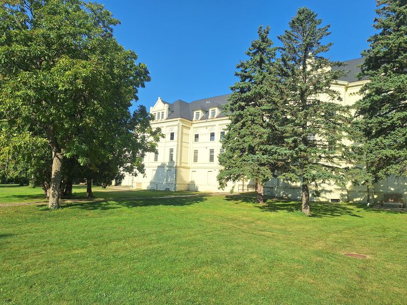 Picnic Blankets and Peaceful Lawns