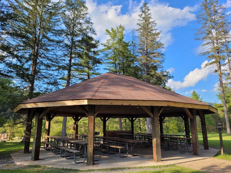 Picnic Spots Made for Unhurried Afternoons