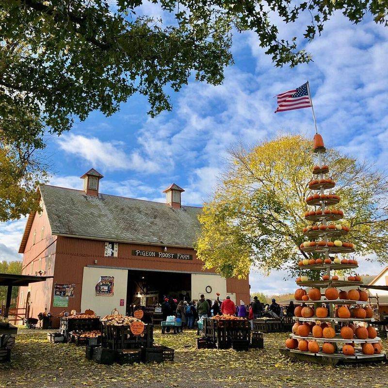 Pigeon Roost Farm Pumpkin Fest