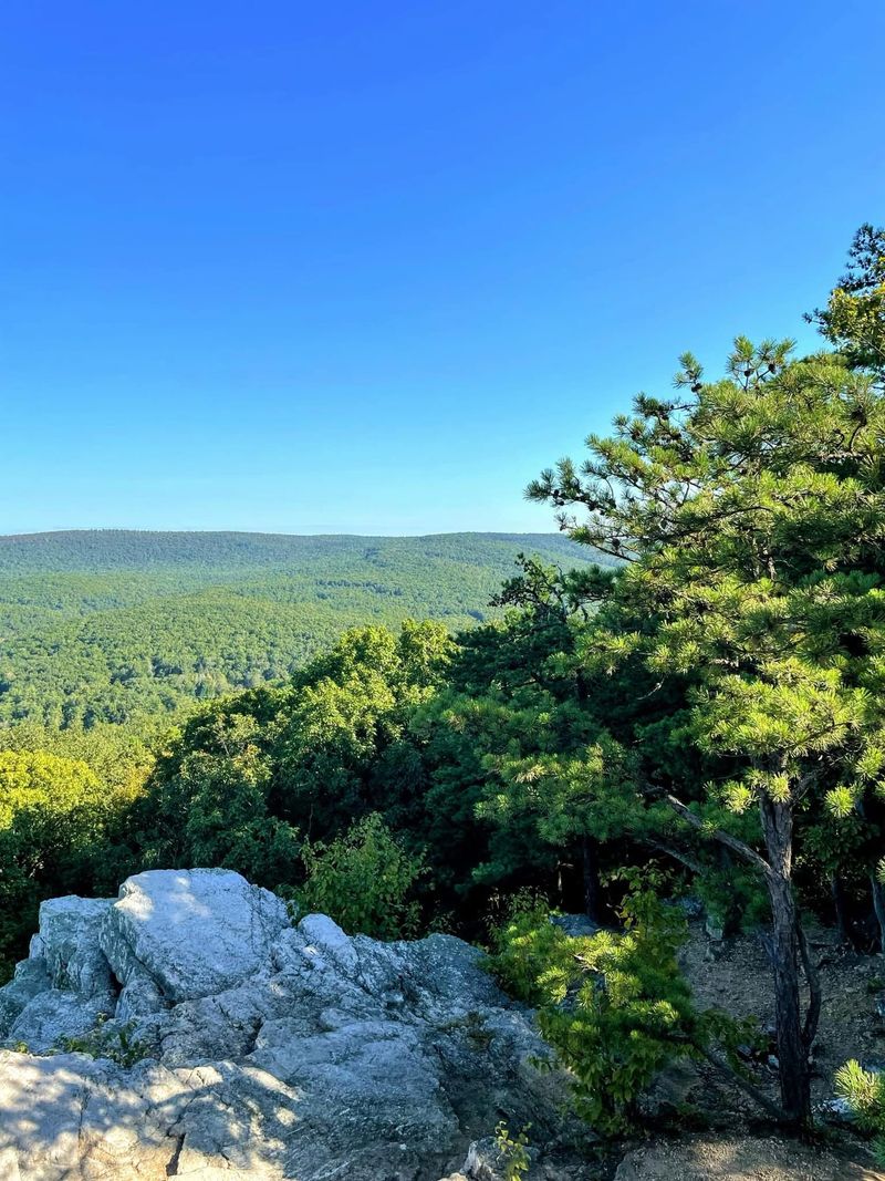 Pine Grove Furnace State Park, Gardners