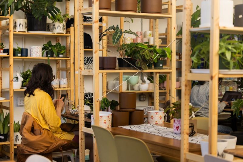 Plants + Coffee, Easton