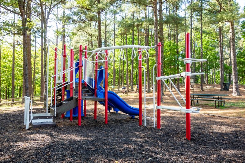 Playground in the Woods