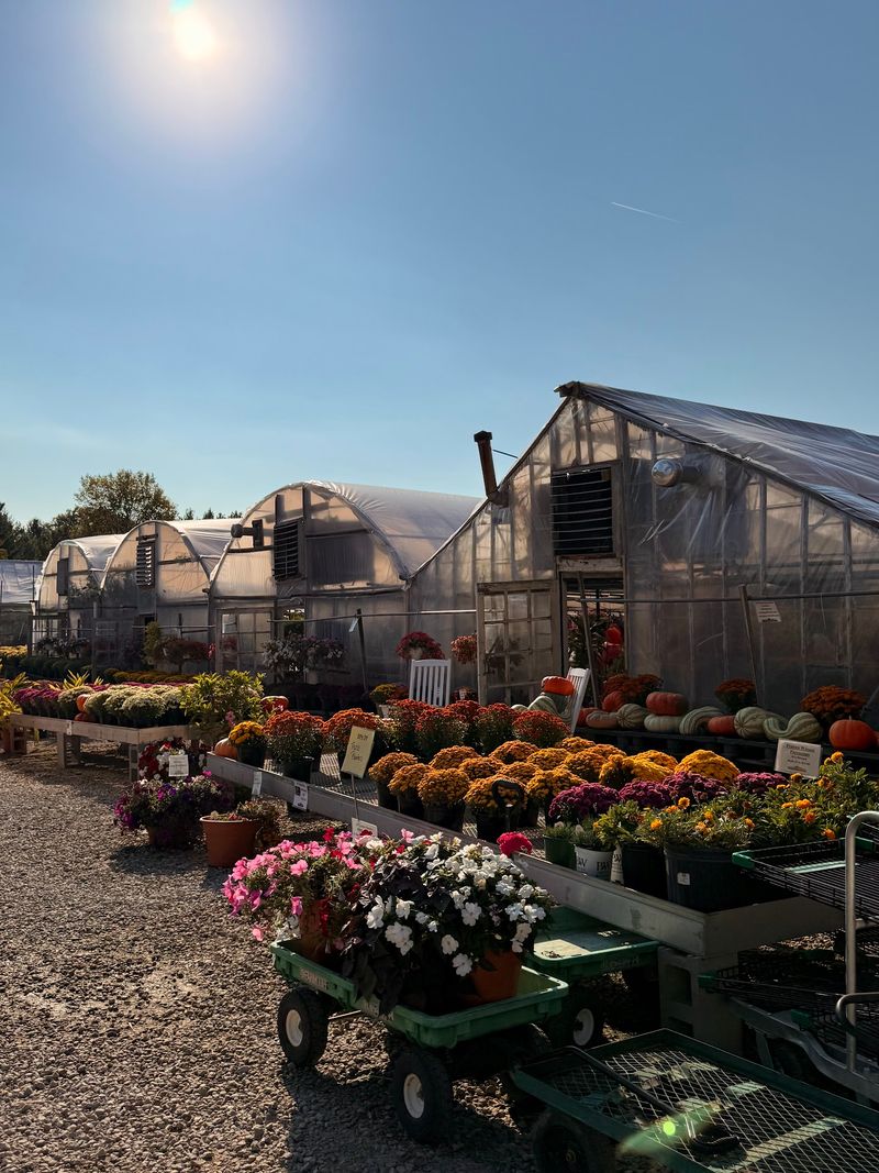 Plug In The Address And Plan Your Fall Day