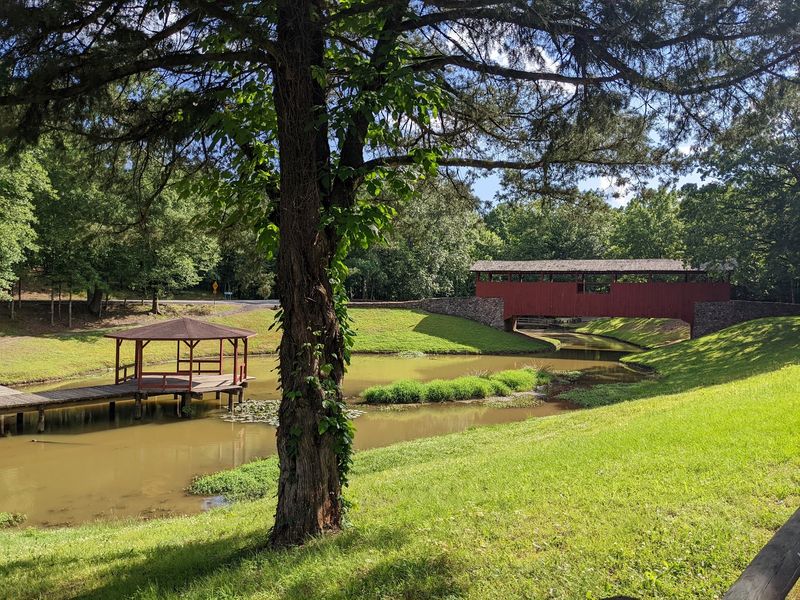 Pond Stops, Turtles, and Picnic Spots