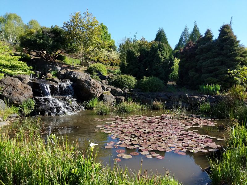 Ponds, Fountains and Frog Neighbors Ponds, Fountains and Frog Neighbors