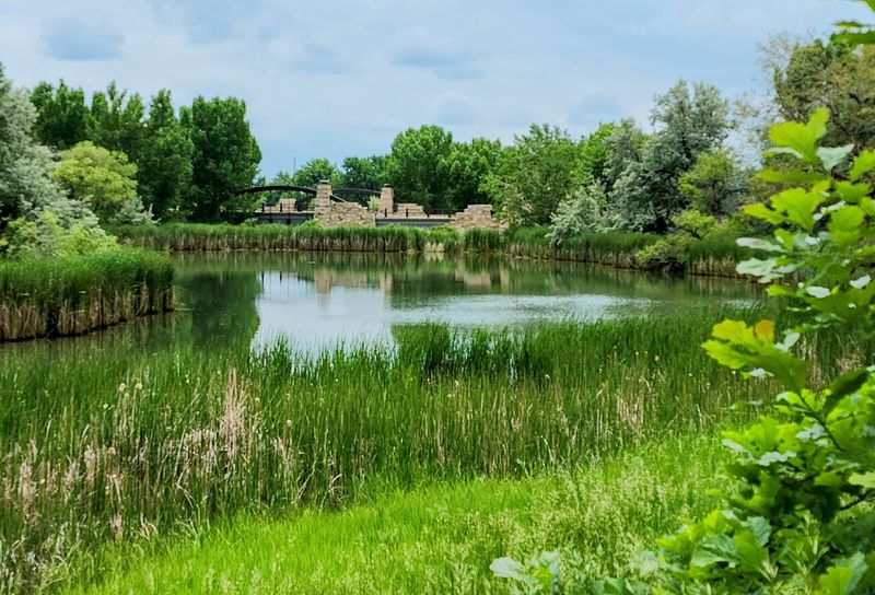 Ponds, Koi And A Historic Ditch Ponds, Koi And A Historic Ditch