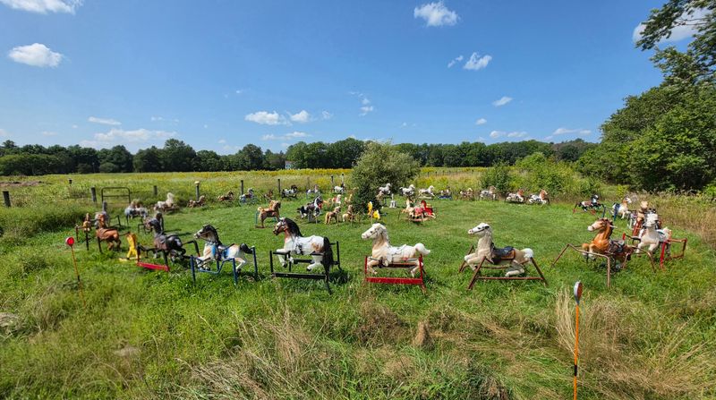 Ponyhenge - Lincoln's Curious Rocking-Horse Gathering
