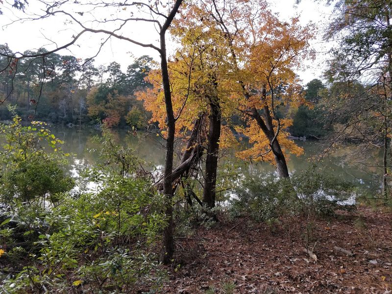 Prairie Branch Loop - Huntsville State Park (Huntsville)