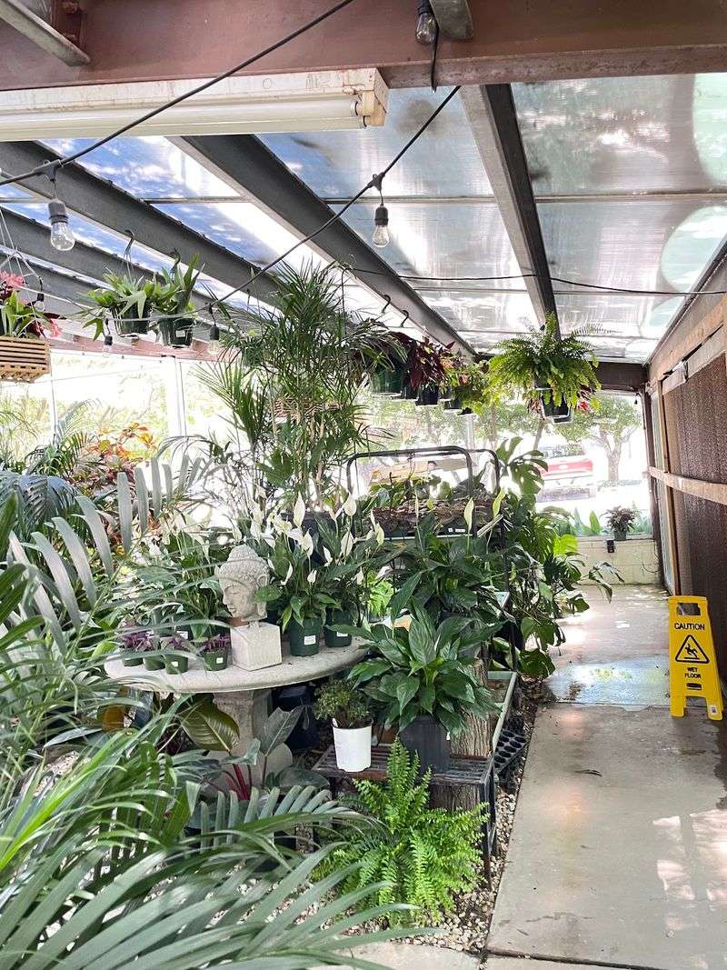 Prices Based on Plant Size Prices Based on Plant Size