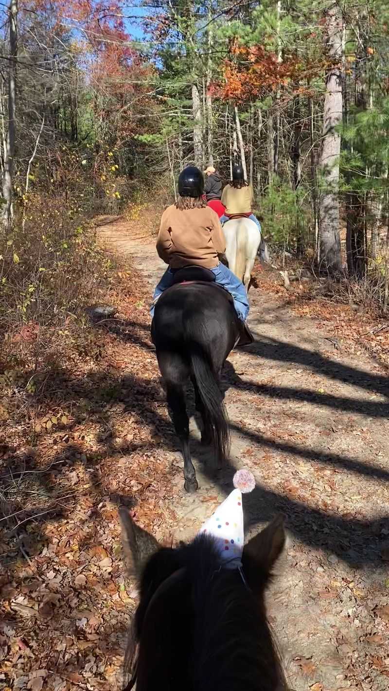 Private Rides Might Be The Best Gift You Give All Year