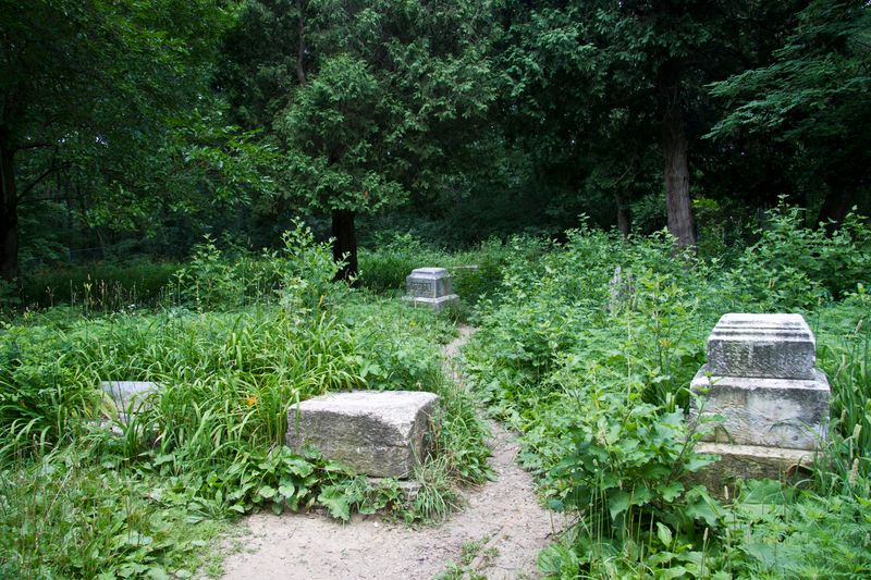 Bachelor's Grove Cemetery (Midlothian) Bachelor's Grove Cemetery (Midlothian)