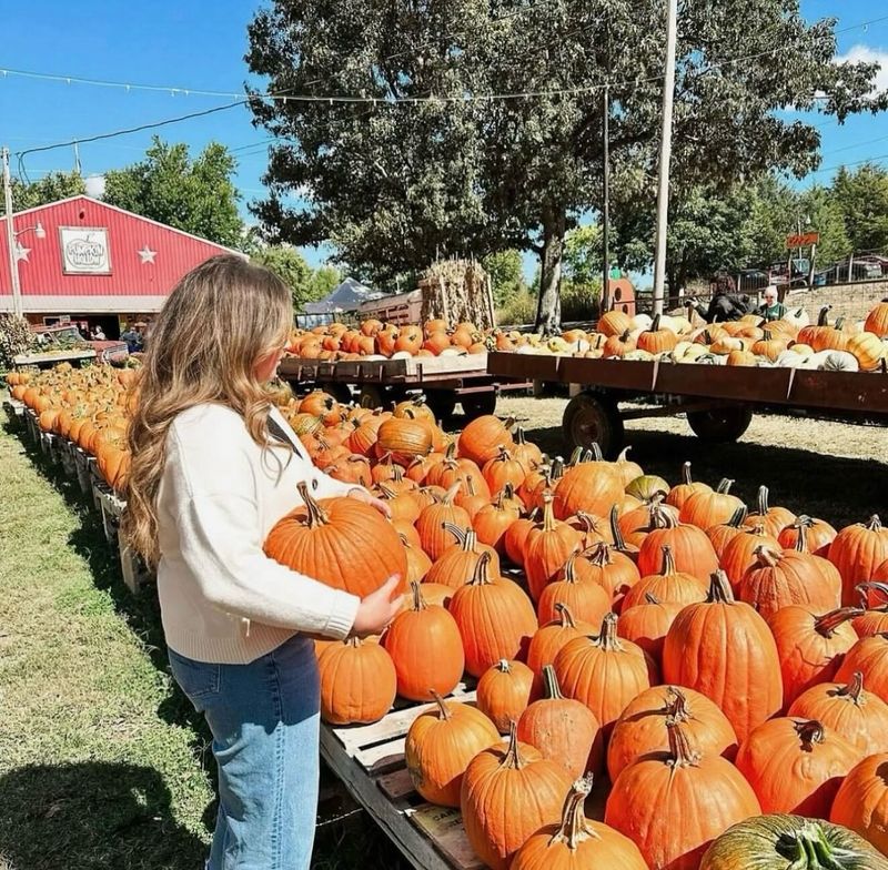 Pumpkin Hollow Pumpkin Hollow