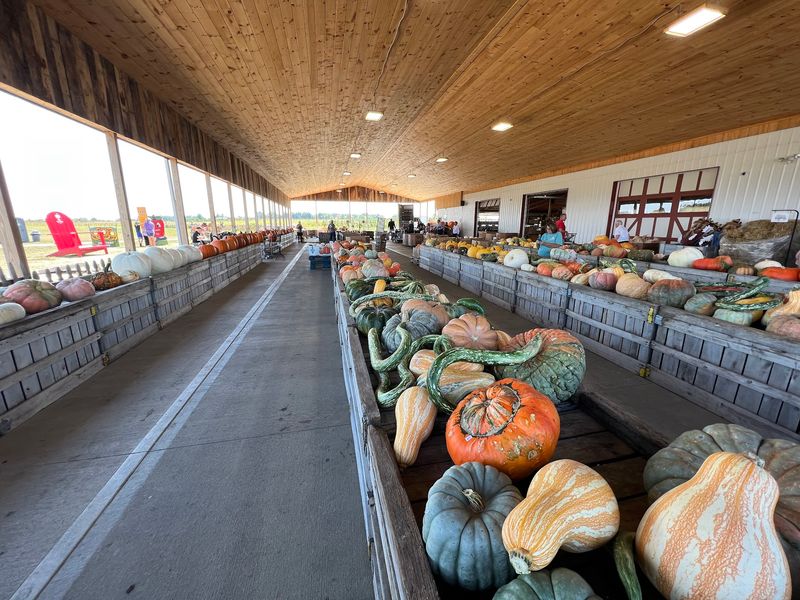 Pumpkins, Gourds, and Photo Spots Pumpkins, Gourds, and Photo Spots