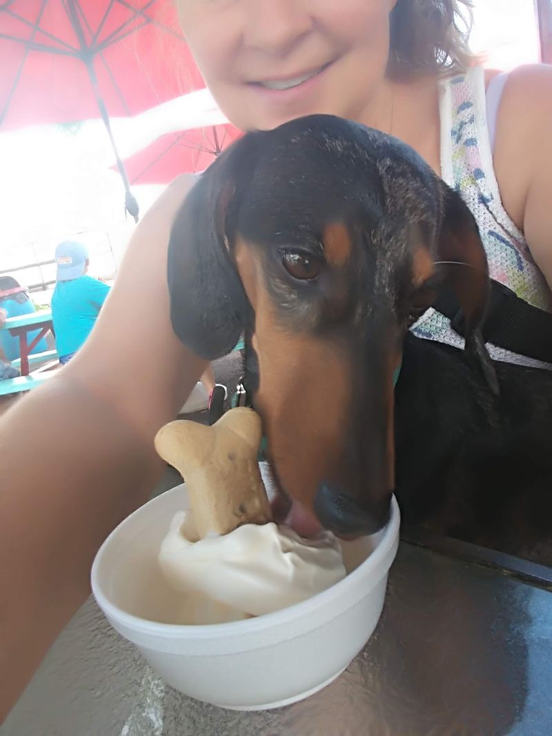 Pup Cups, Car Shows and Neighborhood Crowds Pup Cups, Car Shows and Neighborhood Crowds