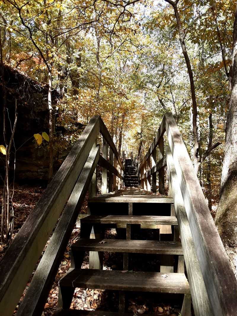 Steps, Switchbacks, and a Quick Uphill Workout Steps, Switchbacks, and a Quick Uphill Workout