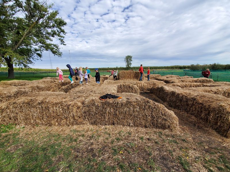 Little Kids Will Head Straight For The Straw Maze Little Kids Will Head Straight For The Straw Maze
