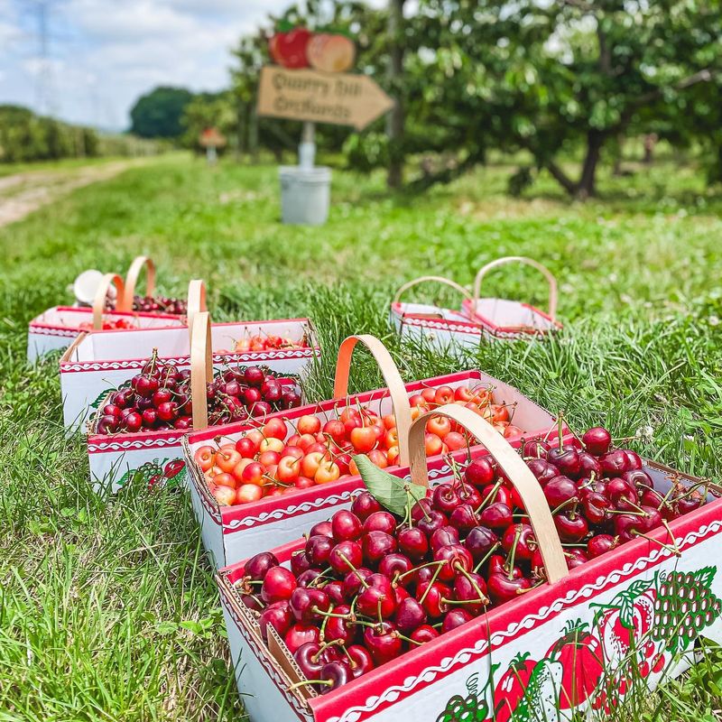 Quarry Hill Orchards Quarry Hill Orchards