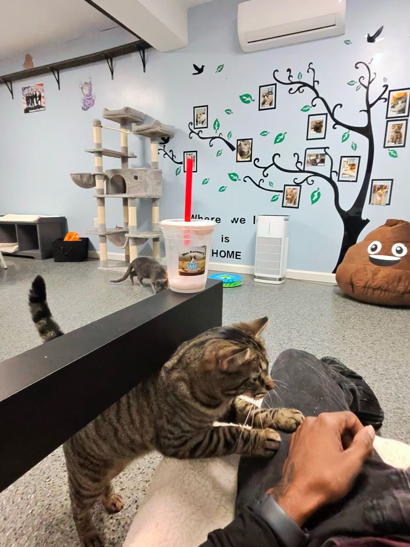 Quarters, Treats, and Instant Popularity Quarters, Treats, and Instant Popularity