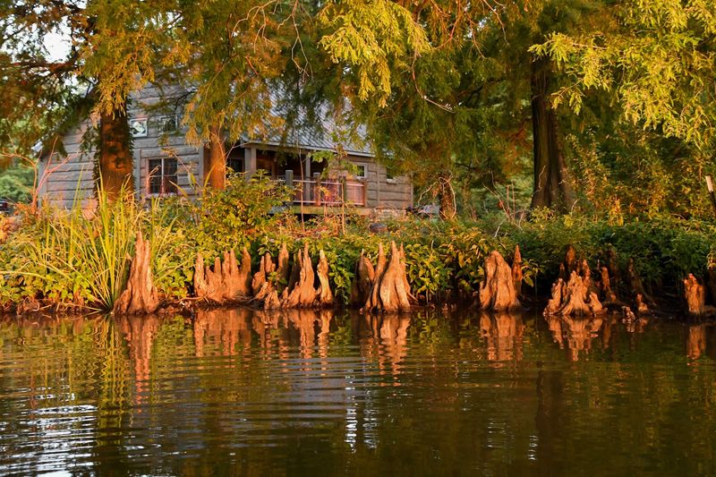 Reelfoot Lake State Park Cabins, Hornbeak, TN Reelfoot Lake State Park Cabins, Hornbeak, TN