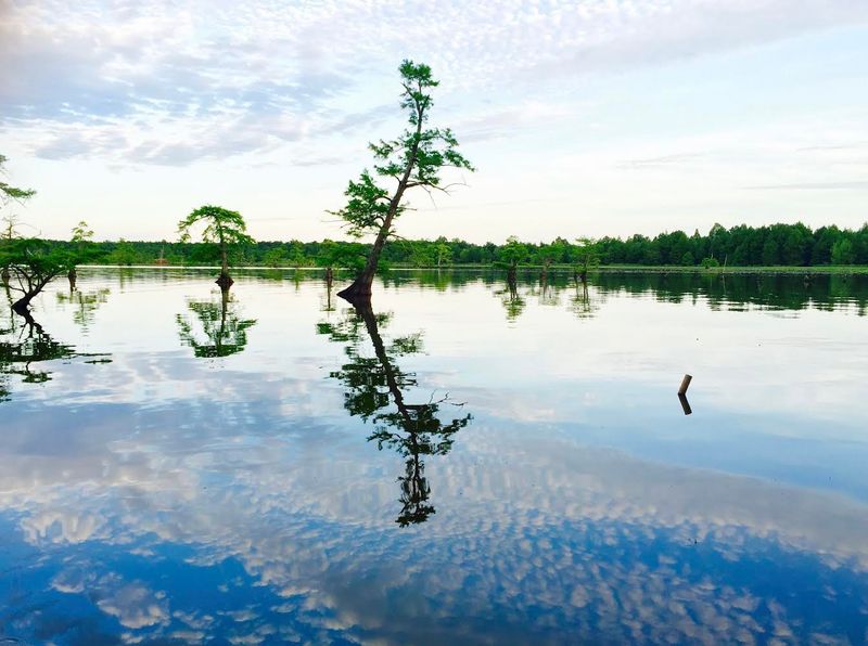 Reelfoot Lake State Park, Tiptonville Reelfoot Lake State Park, Tiptonville