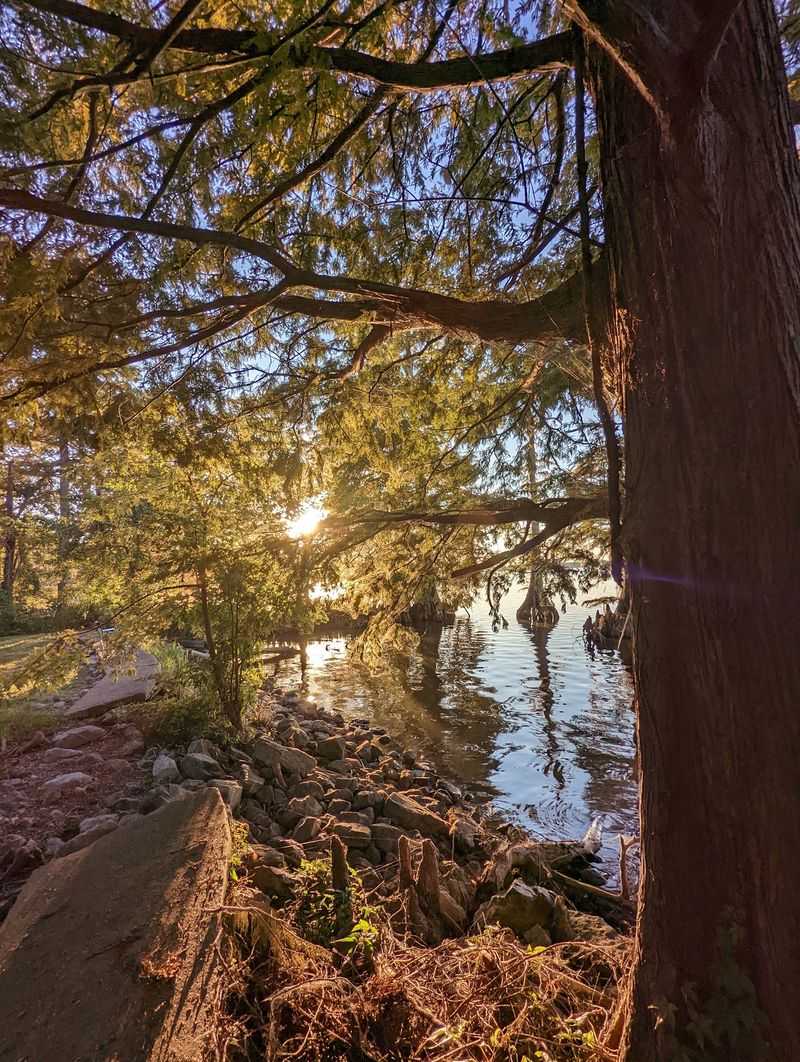 Reelfoot Lake Reelfoot Lake